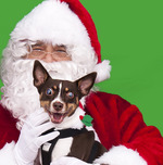 SANTA-PET SANTA-PET